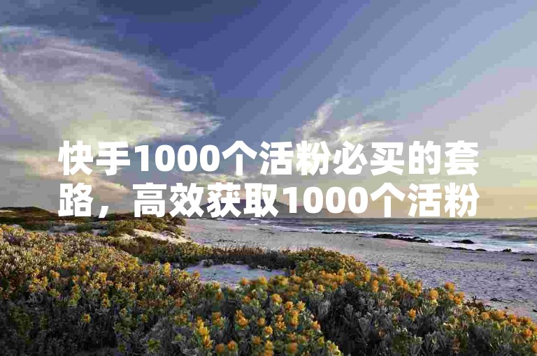快手1000个活粉必买的套路，高效获取1000个活粉的必选清单（高效获取）
