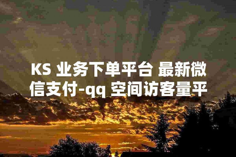 KS 业务下单平台 最新微信支付-qq 空间访客量平台