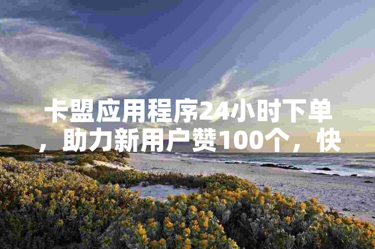 卡盟应用程序24小时下单，助力新用户赞100个，快下单！