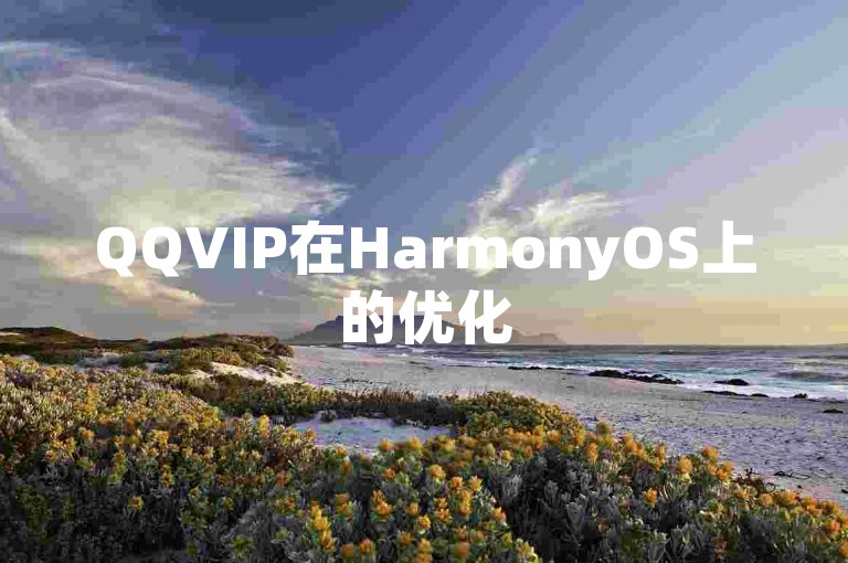 QQVIP在HarmonyOS上的优化