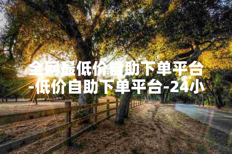 全网最低价自助下单平台-低价自助下单平台-24小时低价自助下单平台优势