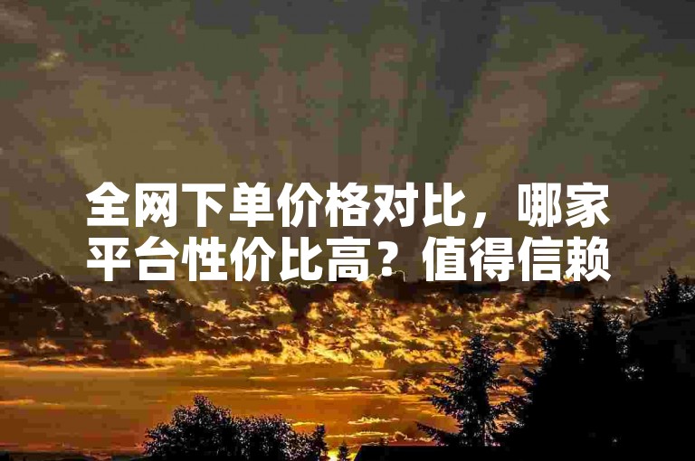 全网下单价格对比，哪家平台性价比高？值得信赖的全网下单服务推荐。
