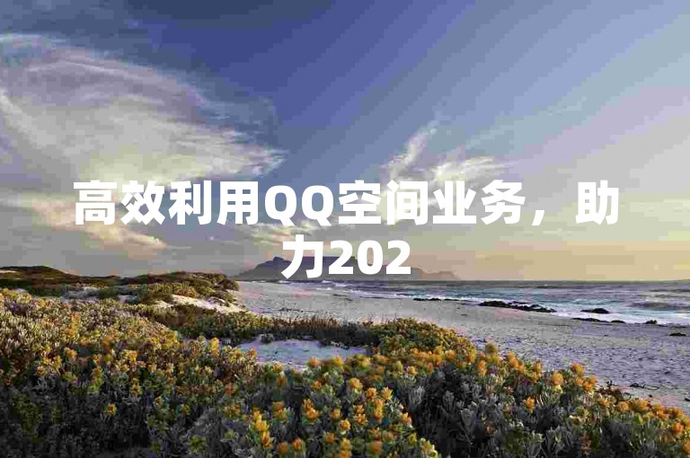 高效利用QQ空间业务，助力2025必学！快手ck24小时在线下单平台震撼来袭！