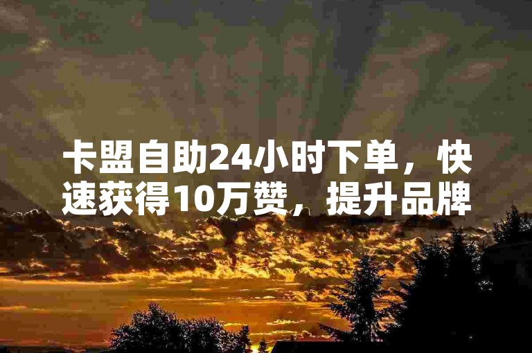 卡盟自助24小时下单，快速获得10万赞，提升品牌影响力！