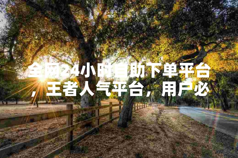 全网24小时自助下单平台，王者人气平台，用户必入
