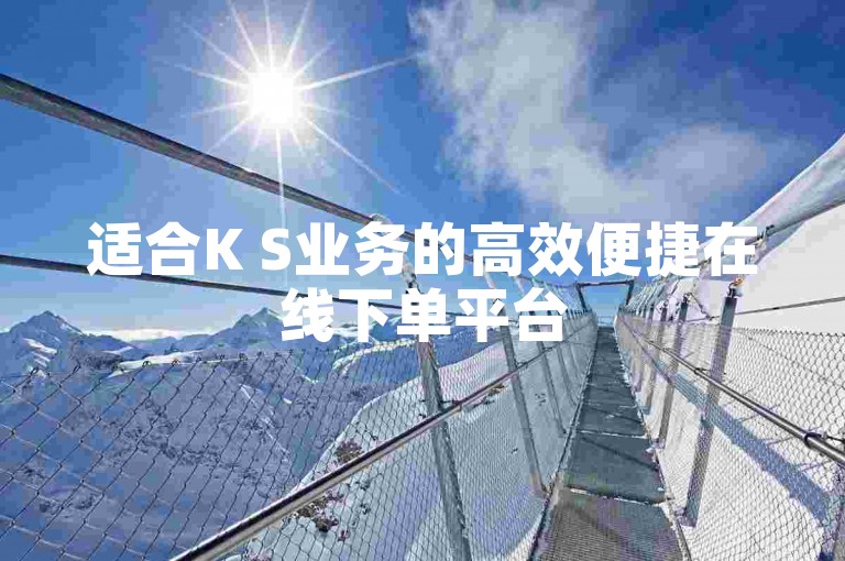 适合K S业务的高效便捷在线下单平台