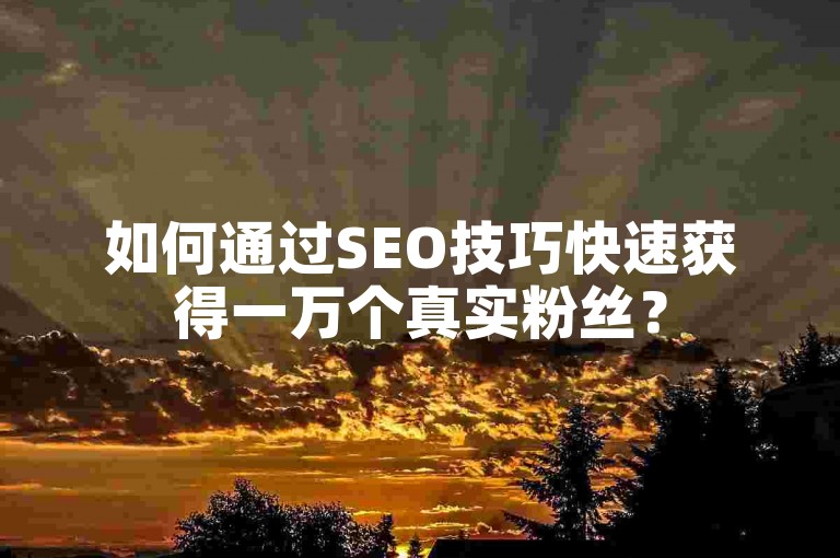 如何通过SEO技巧快速获得一万个真实粉丝？