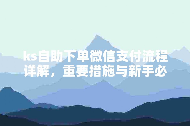 ks自助下单微信支付流程详解，重要措施与新手必看