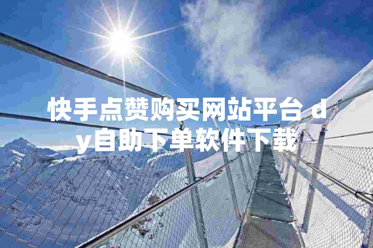 快手点赞购买网站平台 dy自助下单软件下载