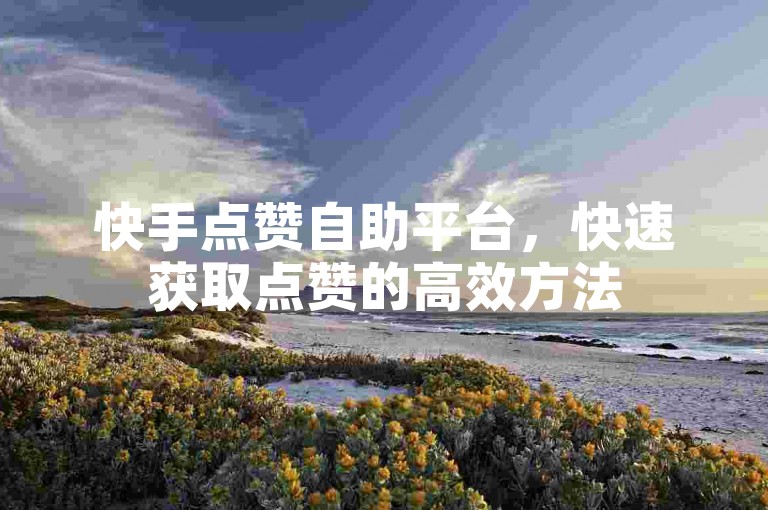 快手点赞自助平台，快速获取点赞的高效方法