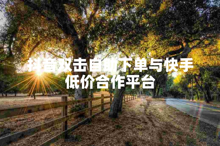 抖音双击自助下单与快手低价合作平台