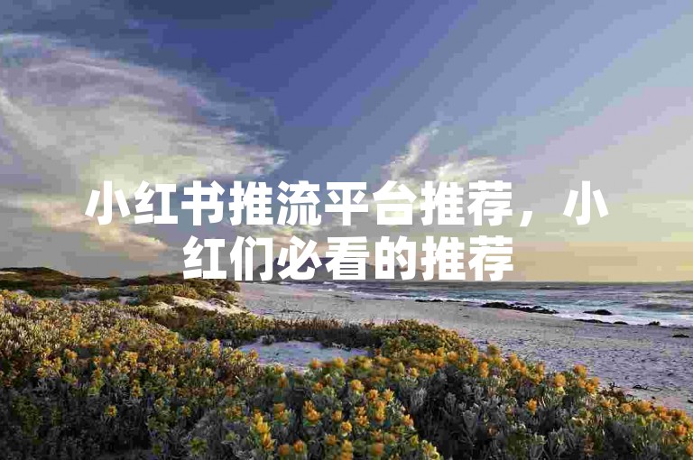 小红书推流平台推荐，小红们必看的推荐