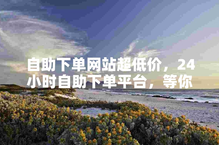 自助下单网站超低价，24小时自助下单平台，等你来！
