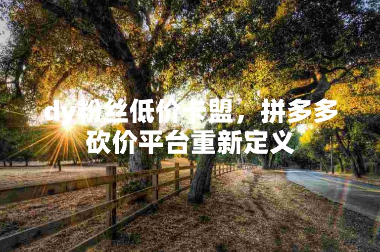 dy粉丝低价卡盟，拼多多砍价平台重新定义