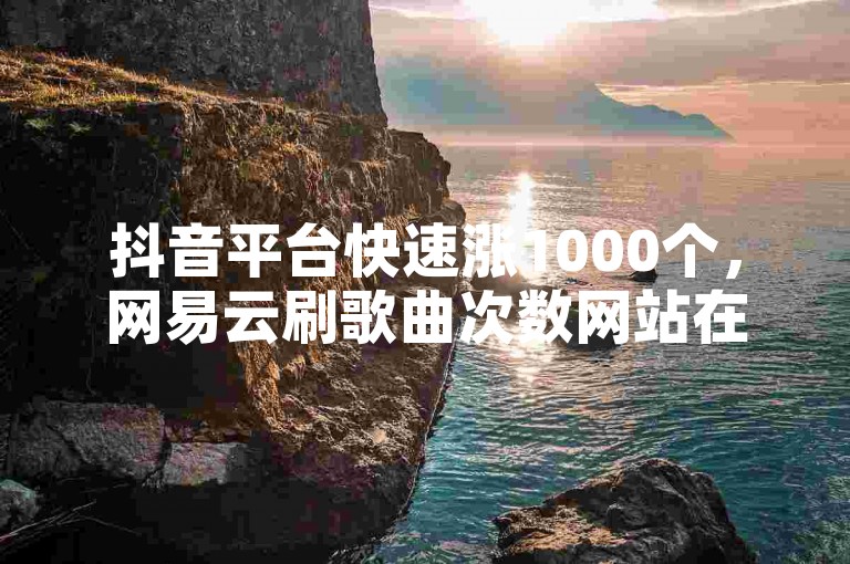 抖音平台快速涨1000个，网易云刷歌曲次数网站在哪？卡盟自助下单购物网站全网最低价格是多少？