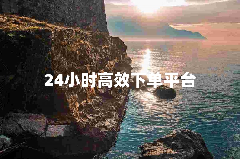 24小时高效下单平台