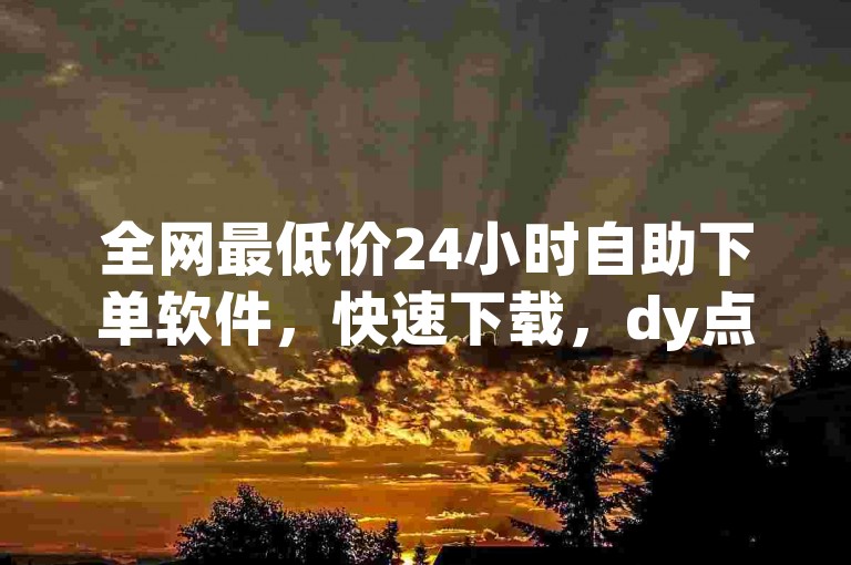 全网最低价24小时自助下单软件，快速下载，dy点赞快速平台业务软件