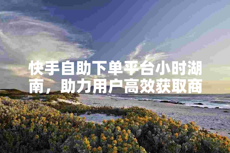 快手自助下单平台小时湖南，助力用户高效获取商品，精准定位目标用户群体，便捷高效，精准精准！