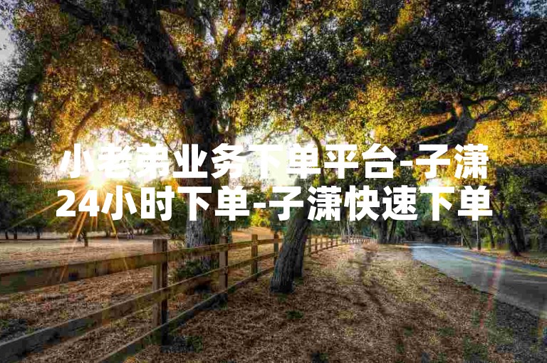 小老弟业务下单平台-子潇24小时下单-子潇快速下单服务