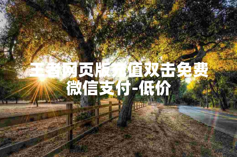 王者网页版充值双击免费微信支付-低价
