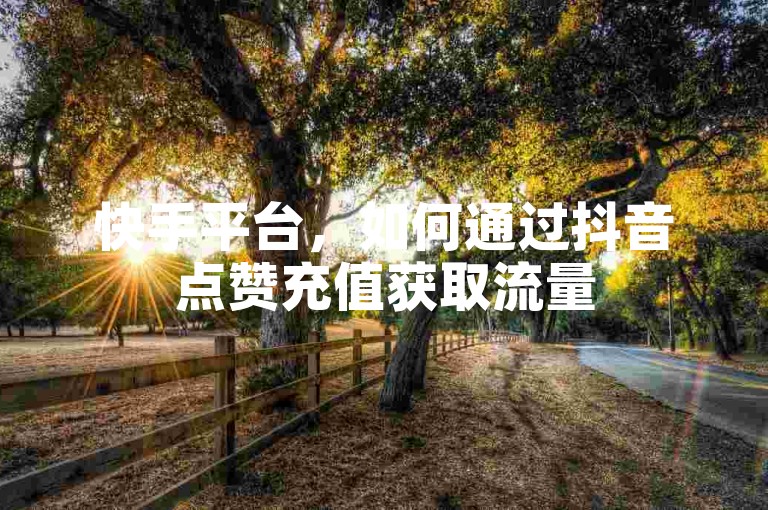 快手平台，如何通过抖音点赞充值获取流量
