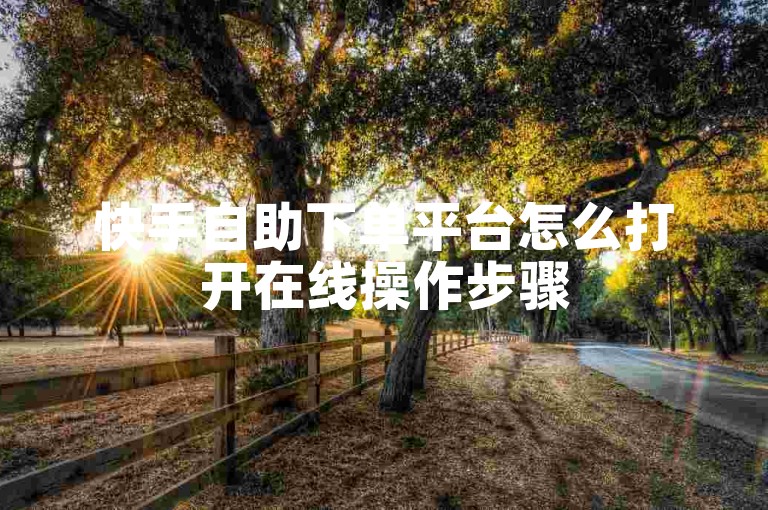 快手自助下单平台怎么打开在线操作步骤