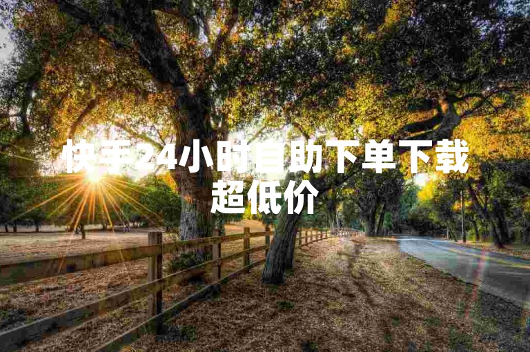 快手24小时自助下单下载超低价