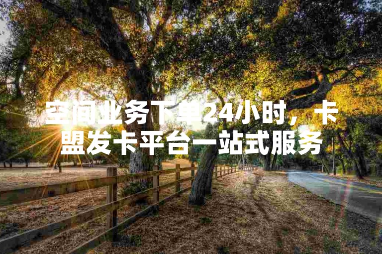 空间业务下单24小时，卡盟发卡平台一站式服务