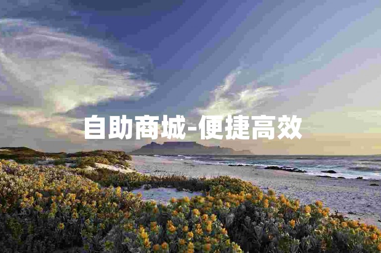 自助商城-便捷高效