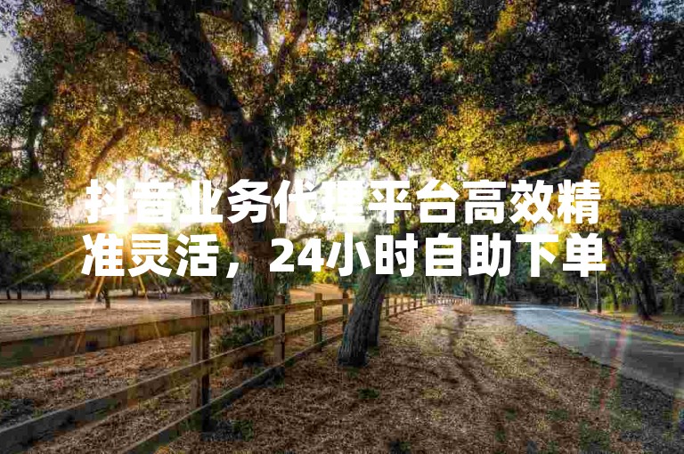 抖音业务代理平台高效精准灵活，24小时自助下单，专业服务，帮助用户高效获取抖音IP，助力商业成功！
