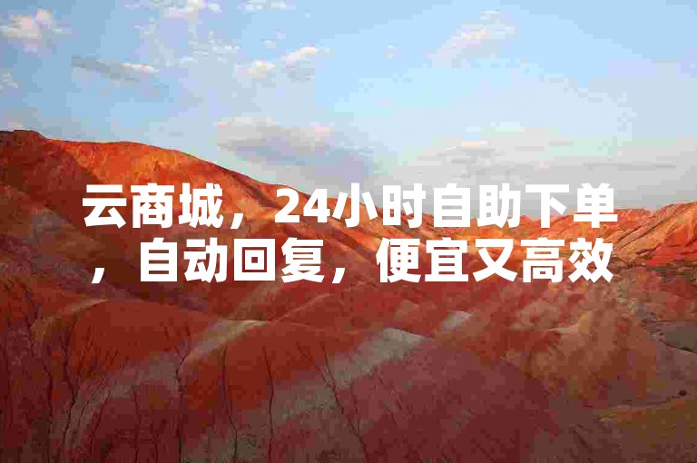 云商城，24小时自助下单，自动回复，便宜又高效！