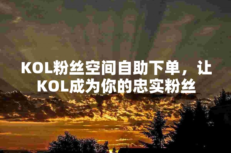 KOL粉丝空间自助下单，让KOL成为你的忠实粉丝
