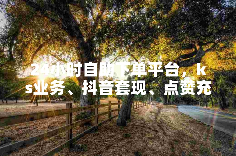 24小时自助下单平台，ks业务、抖音套现、点赞充值秒到账，快速获取资金，便捷高效。