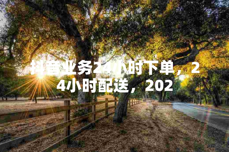 抖音业务24小时下单，24小时配送，2025必学