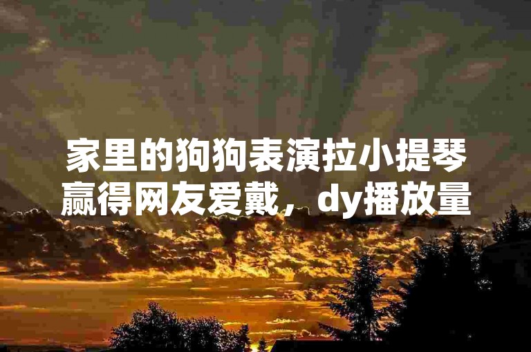 家里的狗狗表演拉小提琴赢得网友爱戴，dy播放量自助下单平台全网最低24小时在线下单抖音
