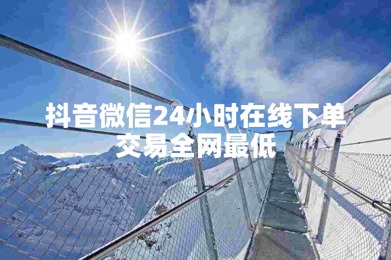 抖音微信24小时在线下单交易全网最低