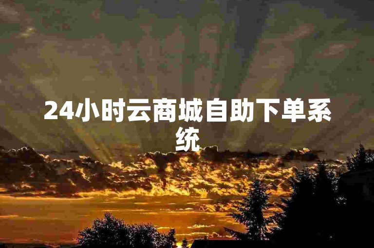 24小时云商城自助下单系统