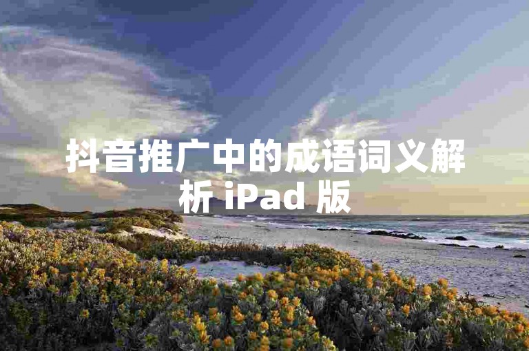 抖音推广中的成语词义解析 iPad 版