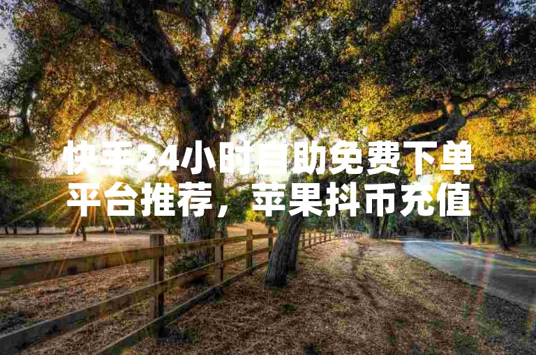 快手24小时自助免费下单平台推荐，苹果抖币充值6元60币怎么充