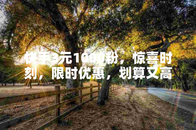 快手3元1000粉，惊喜时刻，限时优惠，划算又高效！