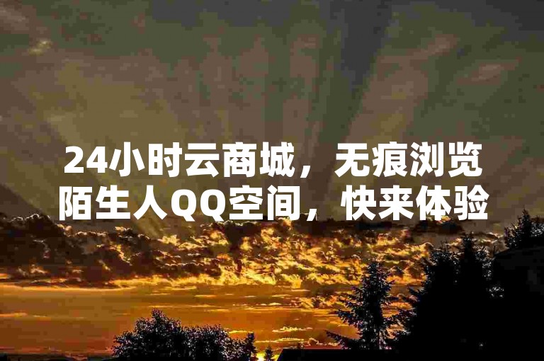 24小时云商城，无痕浏览陌生人QQ空间，快来体验吧！