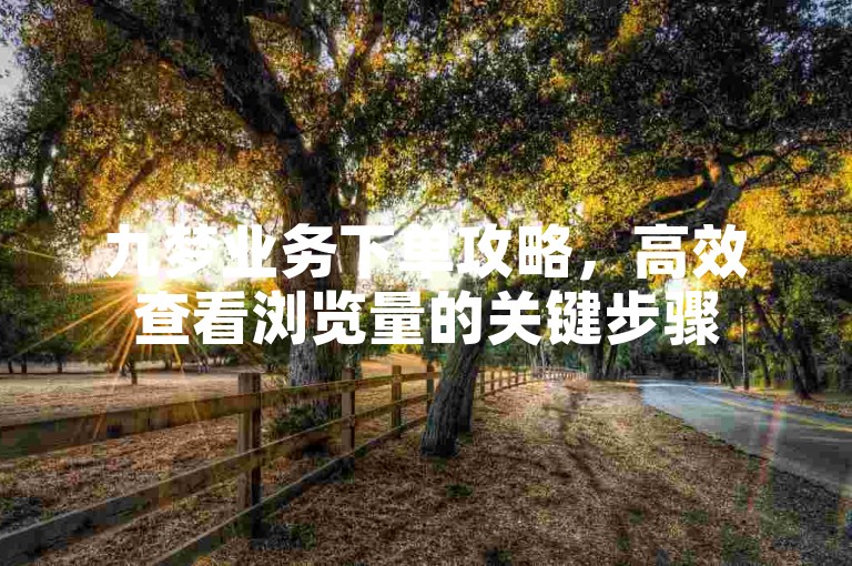 九梦业务下单攻略，高效查看浏览量的关键步骤