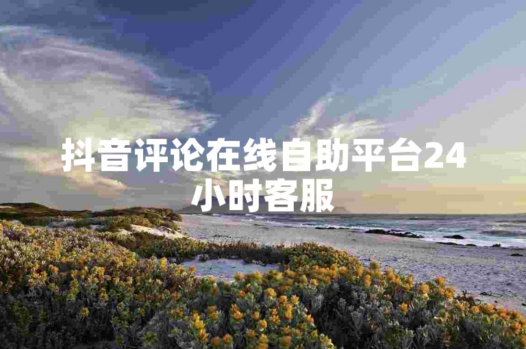 抖音评论在线自助平台24小时客服
