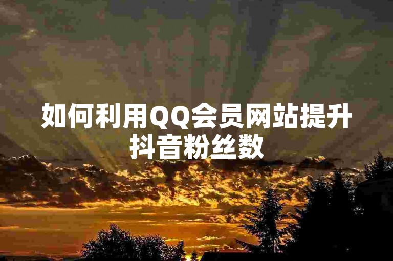 如何利用QQ会员网站提升抖音粉丝数