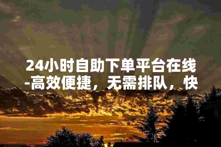 24小时自助下单平台在线-高效便捷，无需排队，快速下单，无需支付