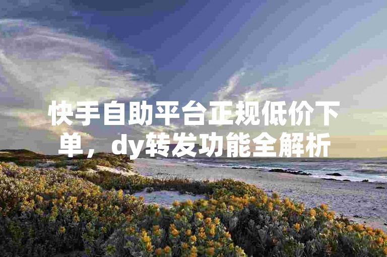 快手自助平台正规低价下单，dy转发功能全解析