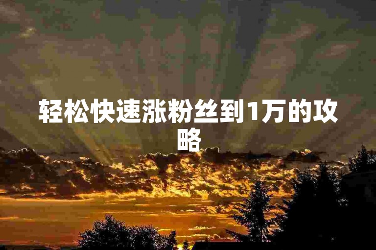 轻松快速涨粉丝到1万的攻略
