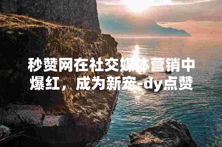 秒赞网在社交媒体营销中爆红，成为新宠-dy点赞