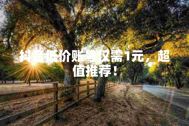 抖音低价账号仅需1元，超值推荐！