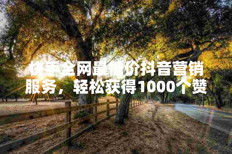 快手全网最低价抖音营销服务，轻松获得1000个赞，提升影响力